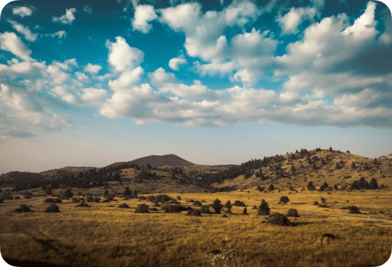 Shrubland